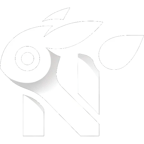 Nokemon