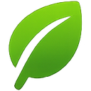 Grass